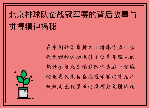 北京排球队奋战冠军赛的背后故事与拼搏精神揭秘